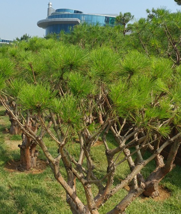 (재)서호추모공원 자연장지