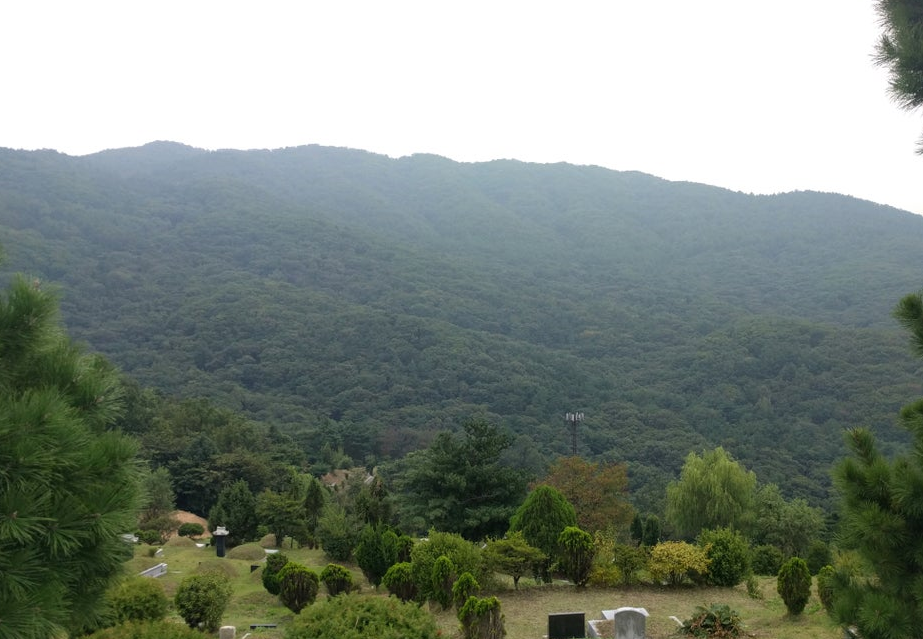 용산성당 청계묘원