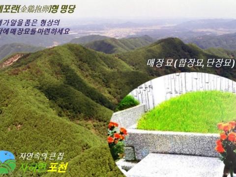 (재)자하연포천(묘지)