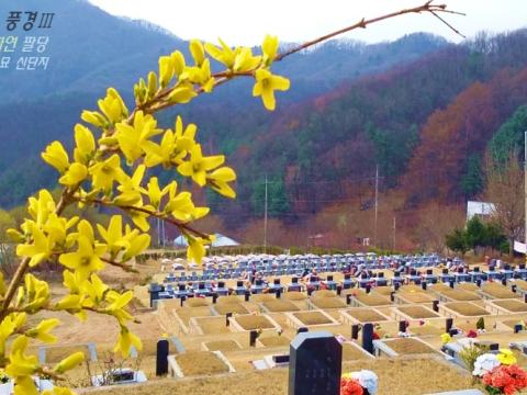 (재)자하연팔당(묘지)
