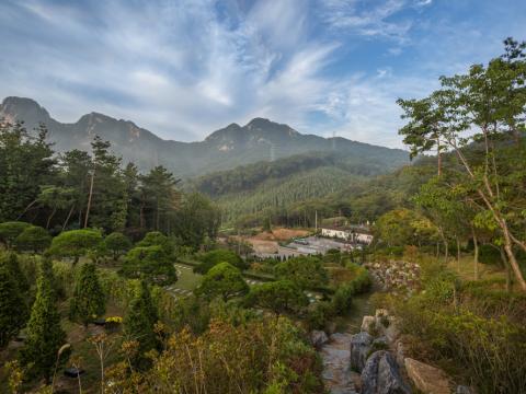 하늘소풍수목장(호산나교회)