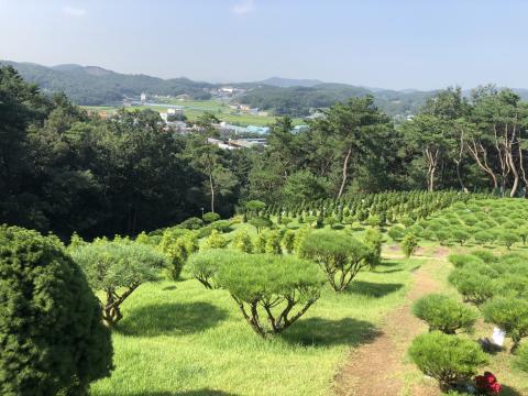 청솔수목장