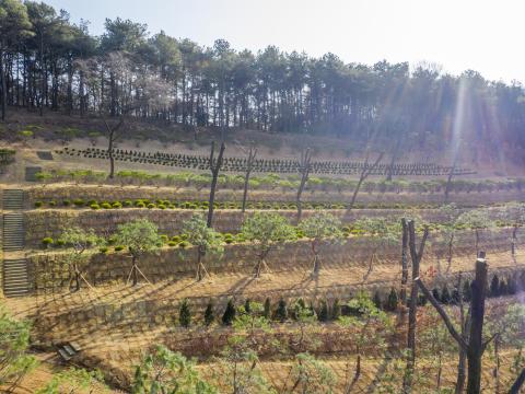 일산공감수목장(봉화사)