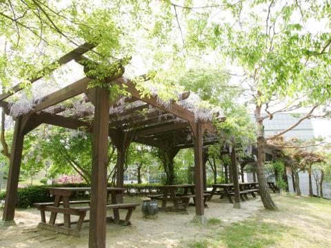 유토피아수목장