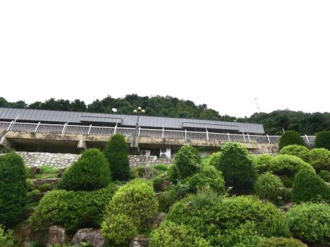 영은교회 자연장지(수목장림)