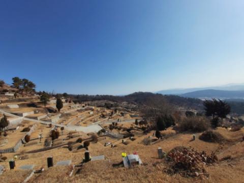 서울신흥교회 하늘계단수목장