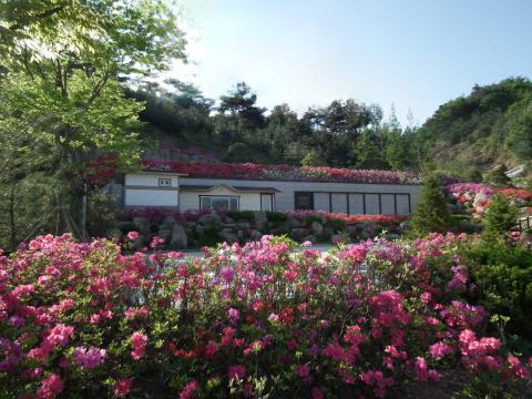 기독교대한성결교회 안성교회 자연장지