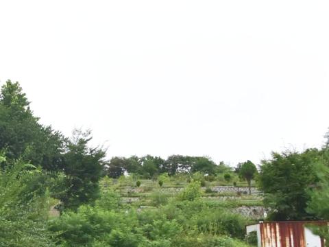 천주교혜화동성당 포천묘원