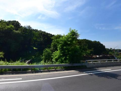 은광교회 묘지