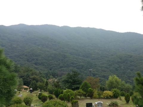 용산성당 청계묘원