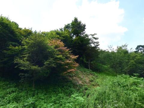서소문교회동산