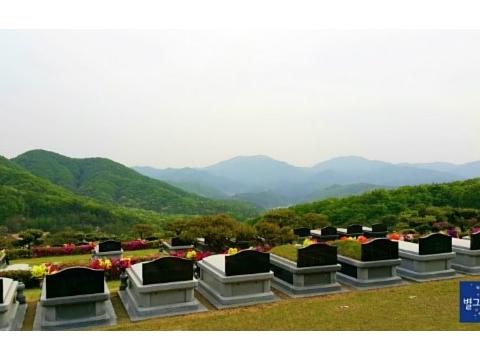 별그리다(THE HILL)